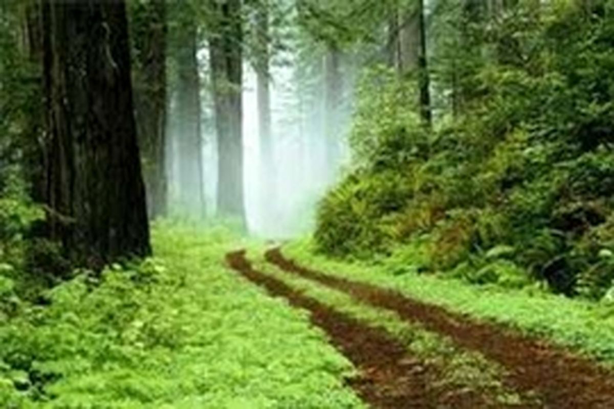 جلوگیری از تصرف ۱۳۰ هزار هکتاری اراضی ملی ایجرود