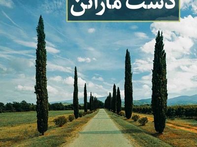 «دشت ماراتن» به کتابفروشی‌ها رسید
