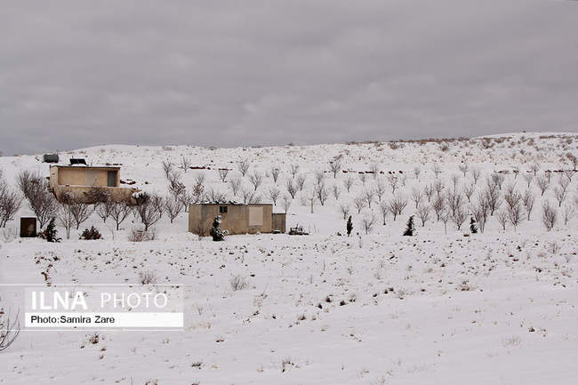 طبیعت برفی روستای قلات