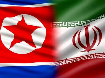 Iran, North Korea discuss Israeli crimes in Gaza, Lebanon