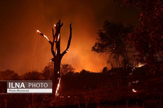آتش سوزی گسترده در منطقه سانتا باربارا - ایالت کالیفرنیای آمریکا 