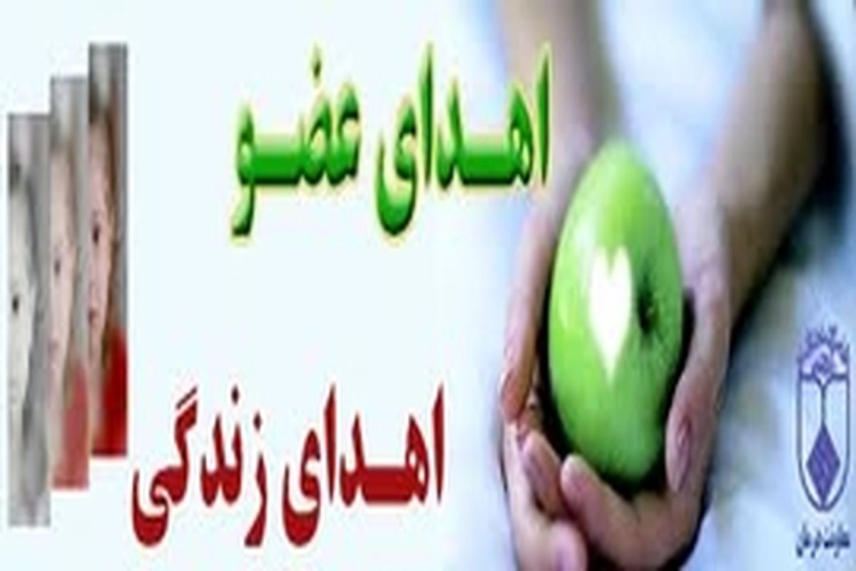 انجام نهمین عمل جراحی پیوند کبد در اصفهان