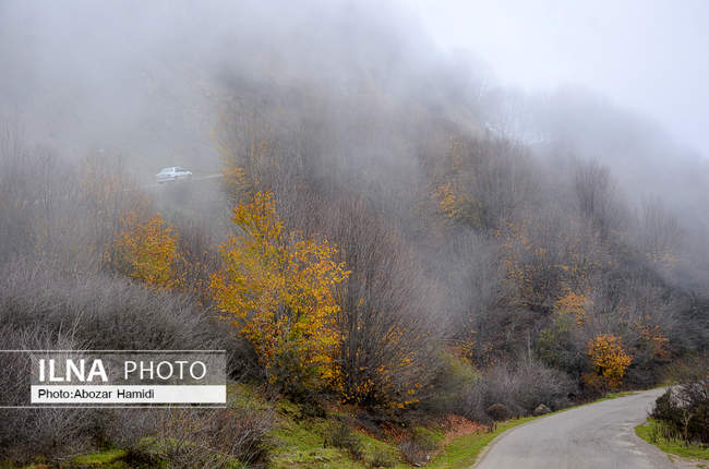 طبیعت پاییزی روستای داماش