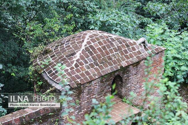 IMG_2747 copy