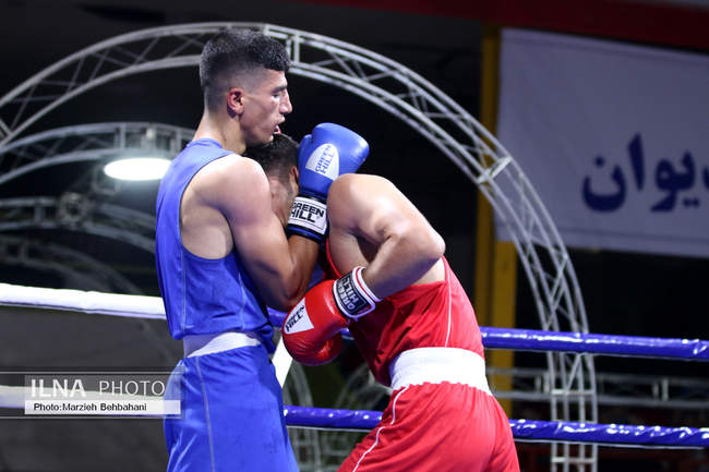 بیستمین دوره مسابقات قهرمانی بوکس کشور 