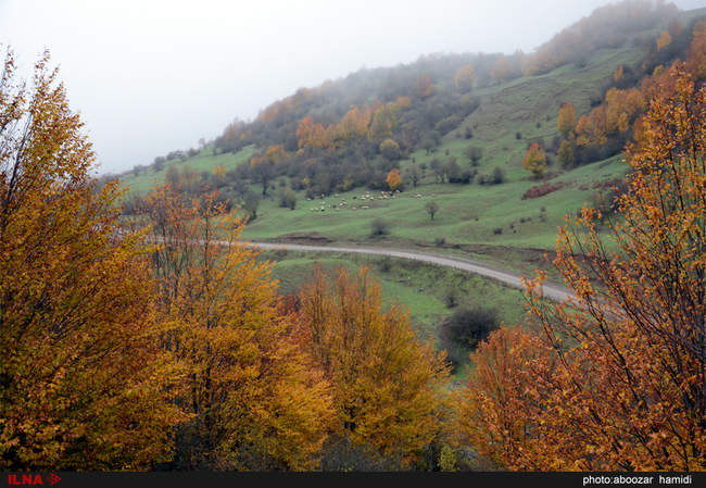 طبیعتِ پاییز در رودبار گیلان