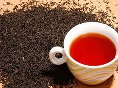 سالانه 500 میلیون دلار چای وارد کشور می‌شود/بحران موجود در صنعت چای را پشت سرگذاشته‌ایم