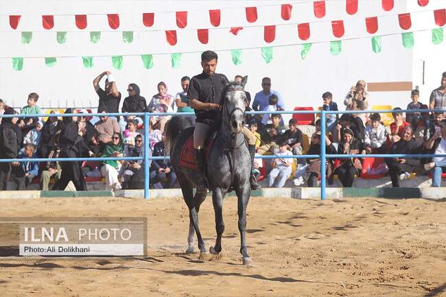 سومین جشنواره زیبایی و شوسواره استان هرمزگان - 21