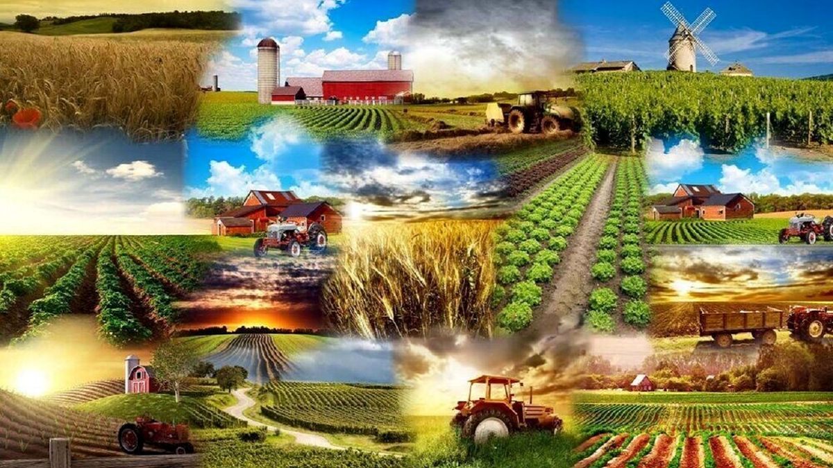 کشاورزی کشور در 10 سال گذشته فراز و فرودهایی داشته است / در سرشماری‌ها باید فناوری‌های نوین مورد استفاده قرار گیرد 