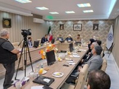 استقبال سازمان از طرح های مشورتی و اجرایی دانشگاه های مستقر در کیش