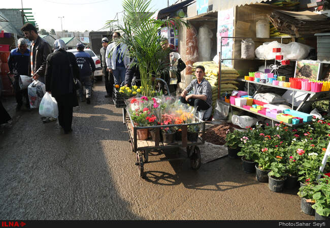 بازار گل و گیاه تهران در آستانه نوروز