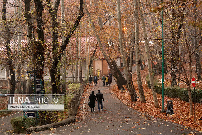 پاییز در سعدآباد