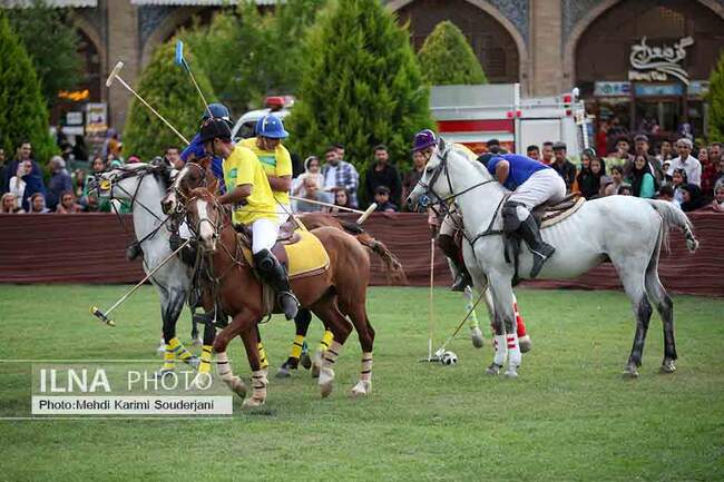 IMG_5226 copy