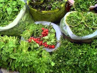خواص یک گیاه شگفت انگیز