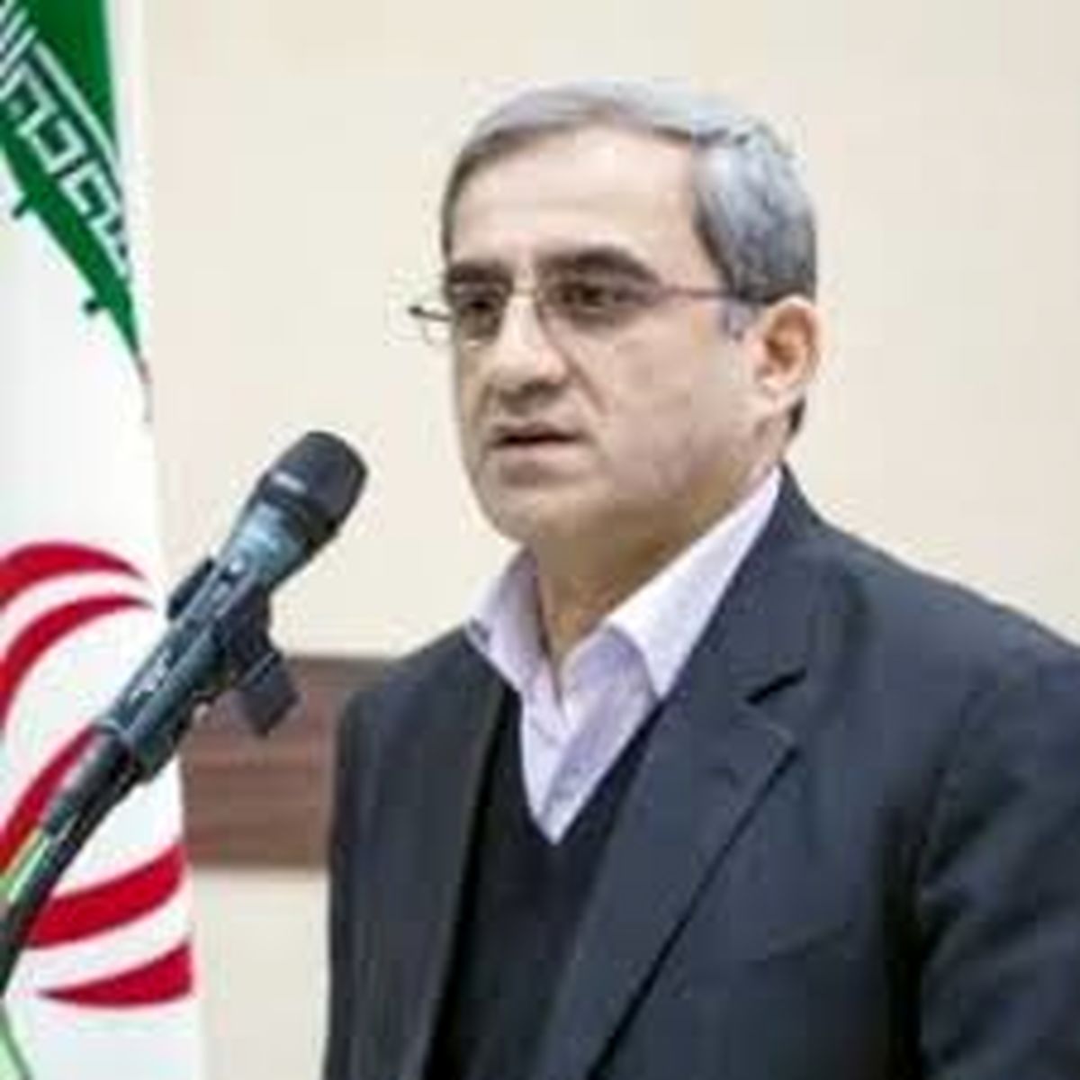 مجوزهای غیر منطقی صنعت چوب گیلان را با مشکل مواجه کرد/مجوز جدید برای پالت سازی صادر نمی شود