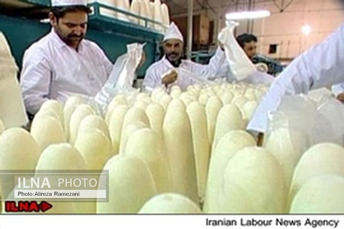 شمار کارگران قند فسا از 400 نفر به 120 کارگر رسید