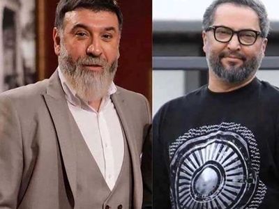 آخرین استوری انصاریان برای سلامتی مرحوم میناوند(عکس)