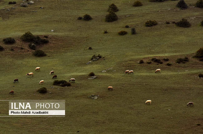 پاییز و خزان در سنگده مازندران
