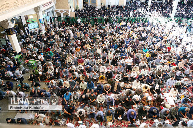 قرائت دعای «عرفه» - حرم حضرت معصومه(س)