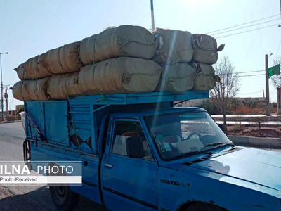 برگزاری دوره‌های مهارتی برای رانندگان وانت بارها ضرورت دارد