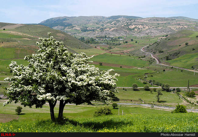 طبیعت بهاری دیلمان استان گیلان