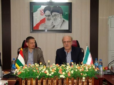 نژاد کپور ماهیان ایران با همکاری مجارستان اصلاح می شود