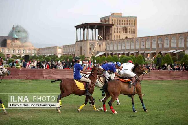 IMG_5341 copy