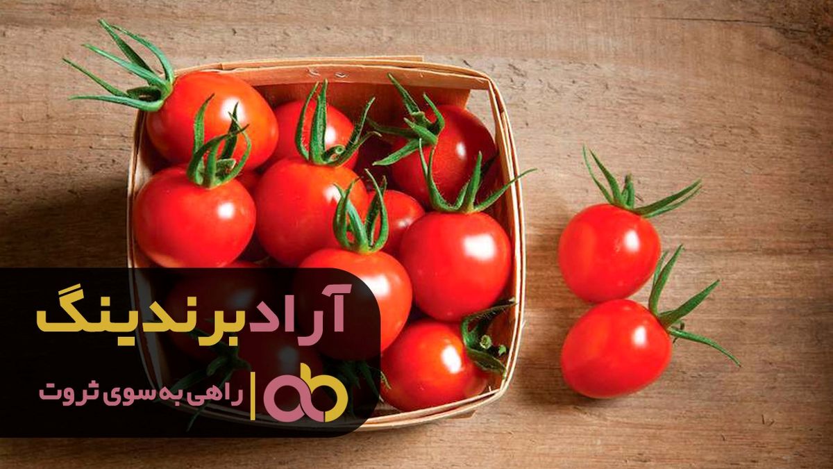 قیمت گوجه فرنگی به چه عواملی وابسته می باشد؟