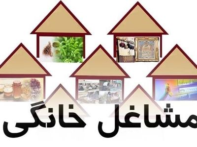 پرداخت 77 درصد از اعتبارات ابلاغی مشاغل خانگی در استان مرکزی