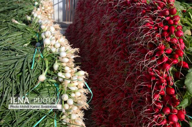 کشت و کار در بیشه ناژوان اصفهان