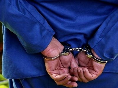 دستگیری سارق درختان در شهر ری 