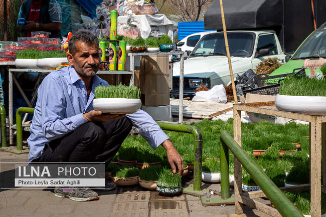 رد پای بهار در بازار گل شهید محلاتی