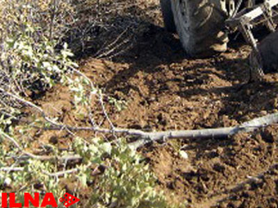انهدام باند زمین‌خواری در کرمان/ رفع تصرف از ٣٠ هزار متر اراضی شهری