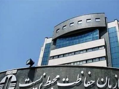 شناسایی و رفع گلوگاه‌های فساد در سازمان محیط زیست