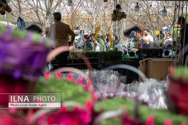 رد پای بهار در بازار گل شهید محلاتی