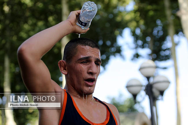 تمرین تیم های ملی کشتی