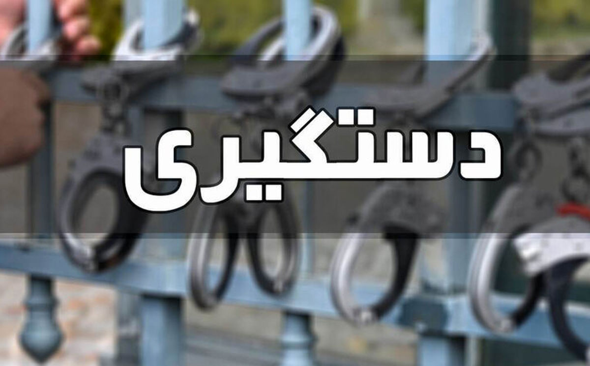 شناسایی و دستگیری ۵۵۵ قاچاقچی حرفه‌ای در پایتخت طی سال گذشته

