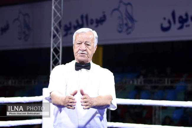 بیستمین دوره مسابقات قهرمانی بوکس کشور 