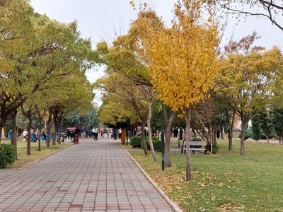  قرارداد همسان فضای سبز در قزوین تدوین شد