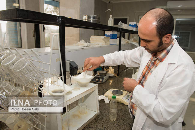 تولید شکر از چغندر قند 