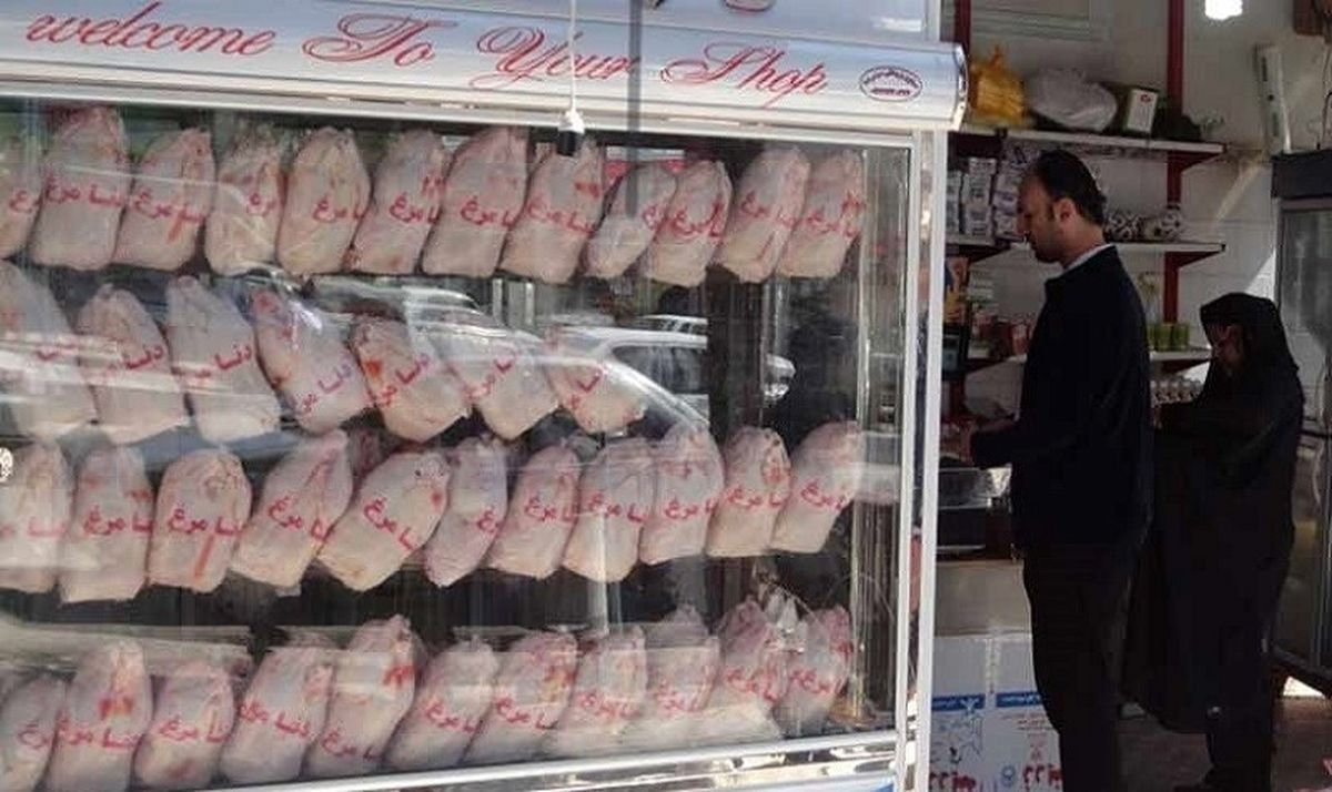 تعامل مرغداران برای افزایش قیمت مرغ زنده/ حذف مرغ از سبد غذایی قشر کم درآمد