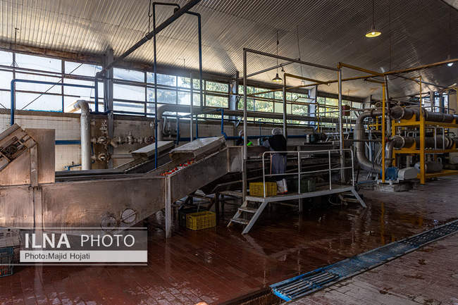 از مزرعه تا صنایع تبدیلی