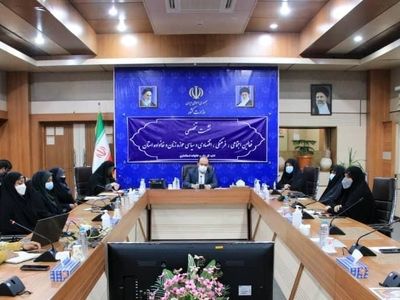 پیگیری ایجاد نمایشگاه دائمی صنایع دستی در هرمزگان/ راه اندازی مراکز درمان ناباروری در شرق و غرب استان