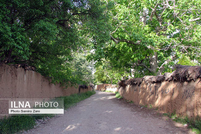 کوچه های شیراز