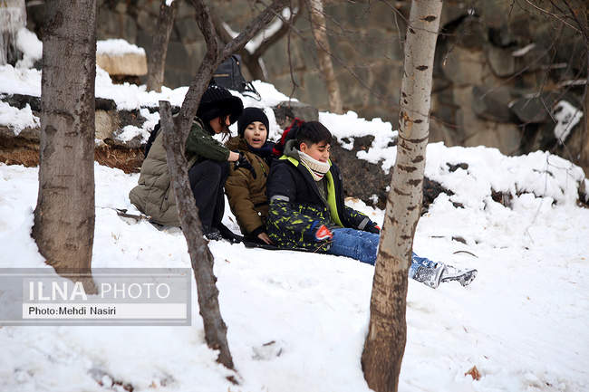 برف زمستانی پارک جمشیدیه