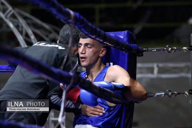 بیستمین دوره مسابقات قهرمانی بوکس کشور 