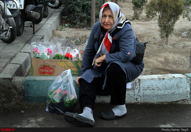 بازار گل و گیاه تهران در آستانه نوروز