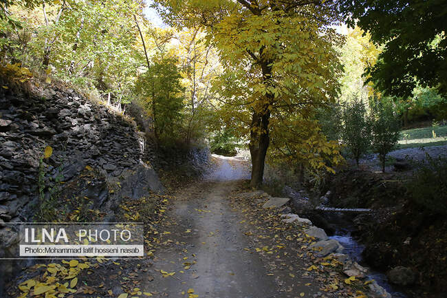 پاییز هزار رنگ کردستان 