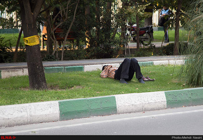 خیابانهای تهران در تصرف سفید بالک ها