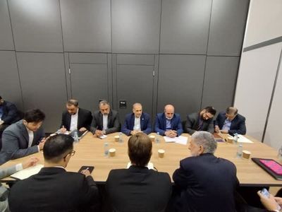 رایزنی احمدیان با همتای برزیلی در سن‌پترزبورگ